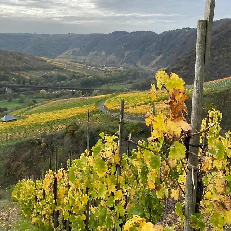 Haus Von Hoegen Konukevi Cochem
