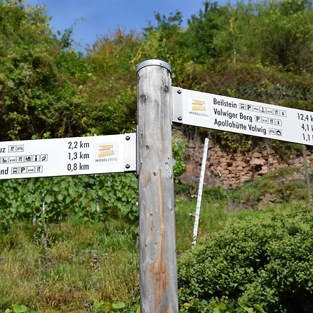 Konukevi Haus Von Hoegen