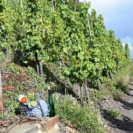 Haus Von Hoegen Konukevi