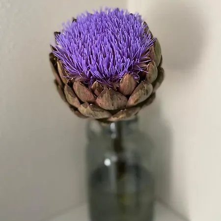 Konukevi Haus Von Hoegen Cochem