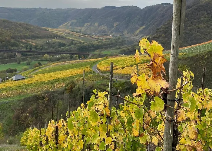 Haus Von Hoegen Gasthuis Cochem
