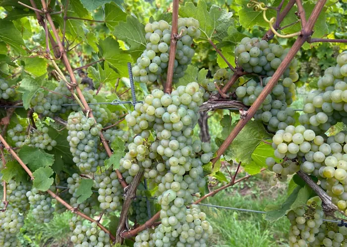 Haus Von Hoegen 3* Cochem