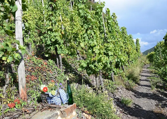 Haus Von Hoegen Gasthuis