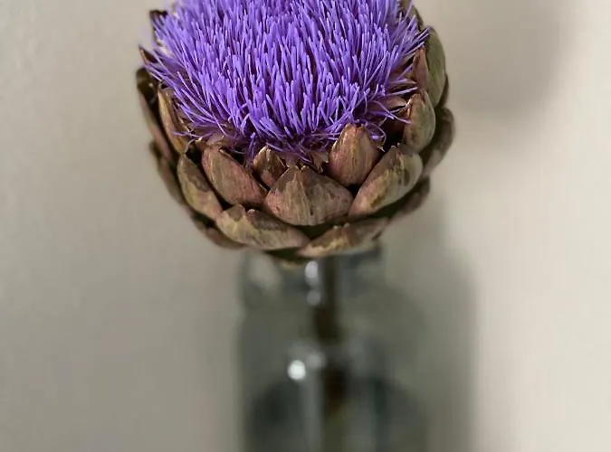 Gasthuis Haus Von Hoegen Cochem